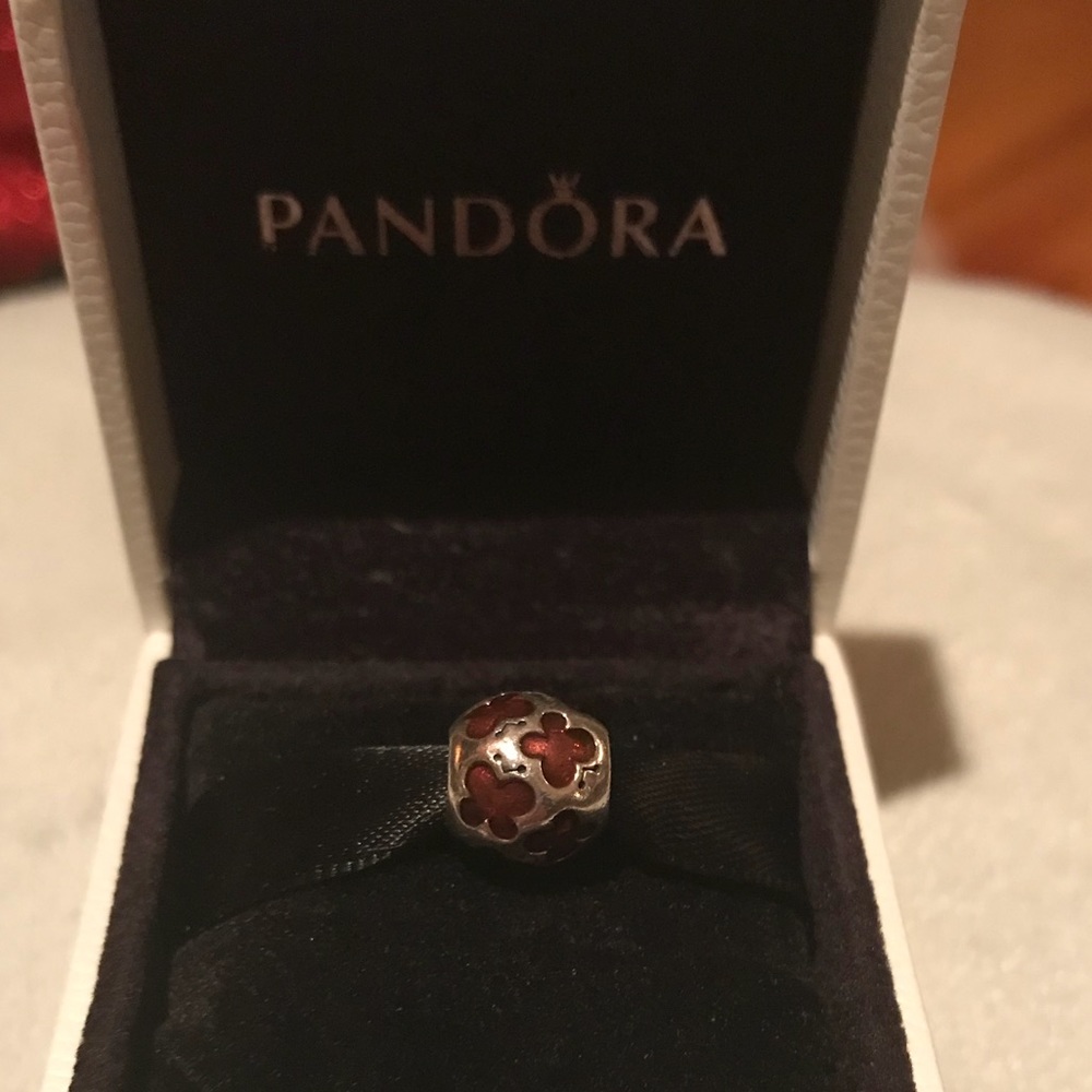Authentic Pandora Charm